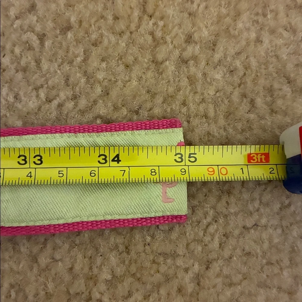 Toe Goz D Ring Pink/Green Flamingo Belt- S